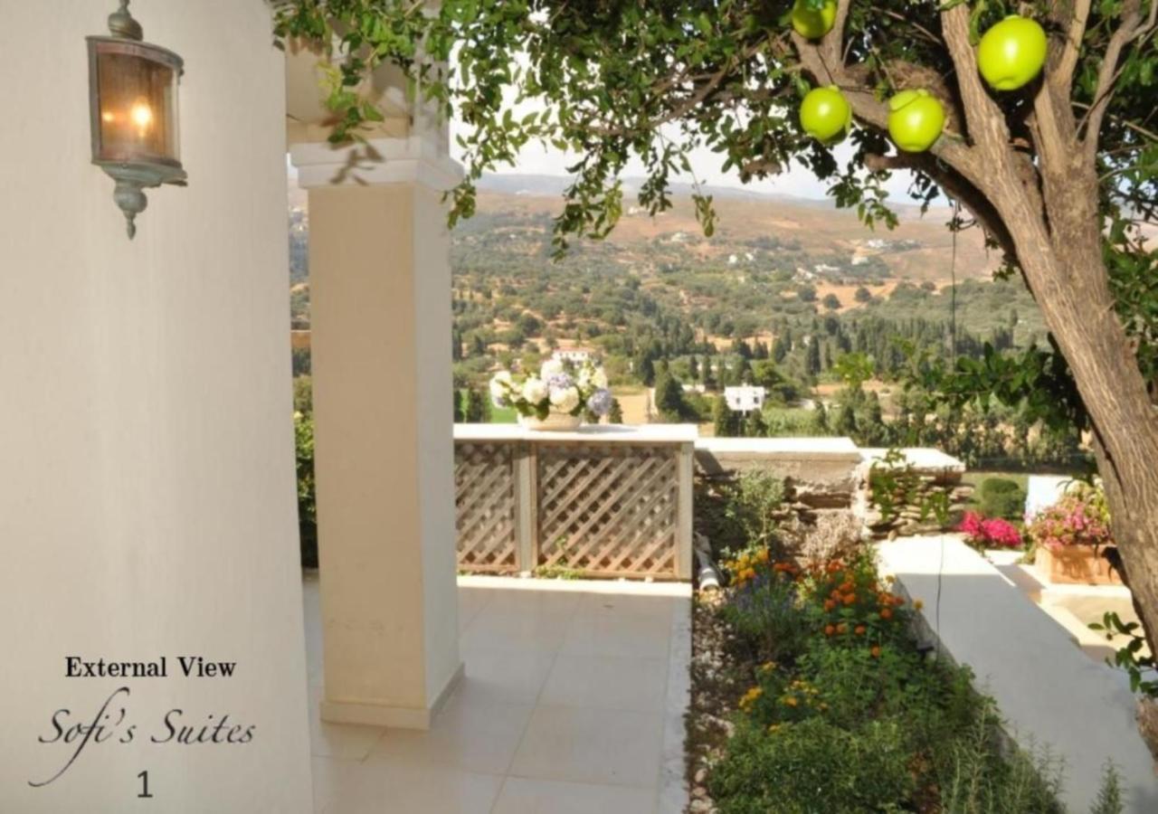 Sofi'S Suites Andros ภายนอก รูปภาพ